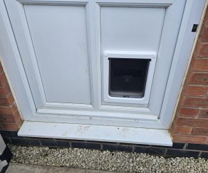 cat flap installers